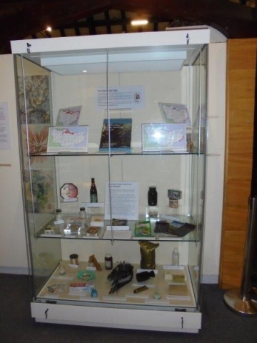 Kent Field Club display case at Maidstone Museum