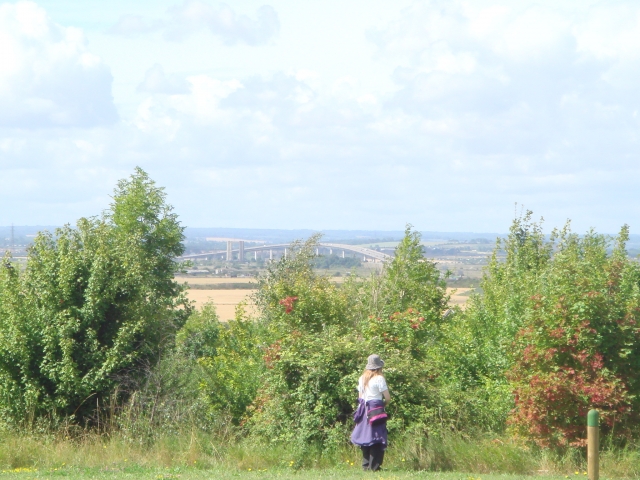 Field visit to Millennial Woods, Sheppey