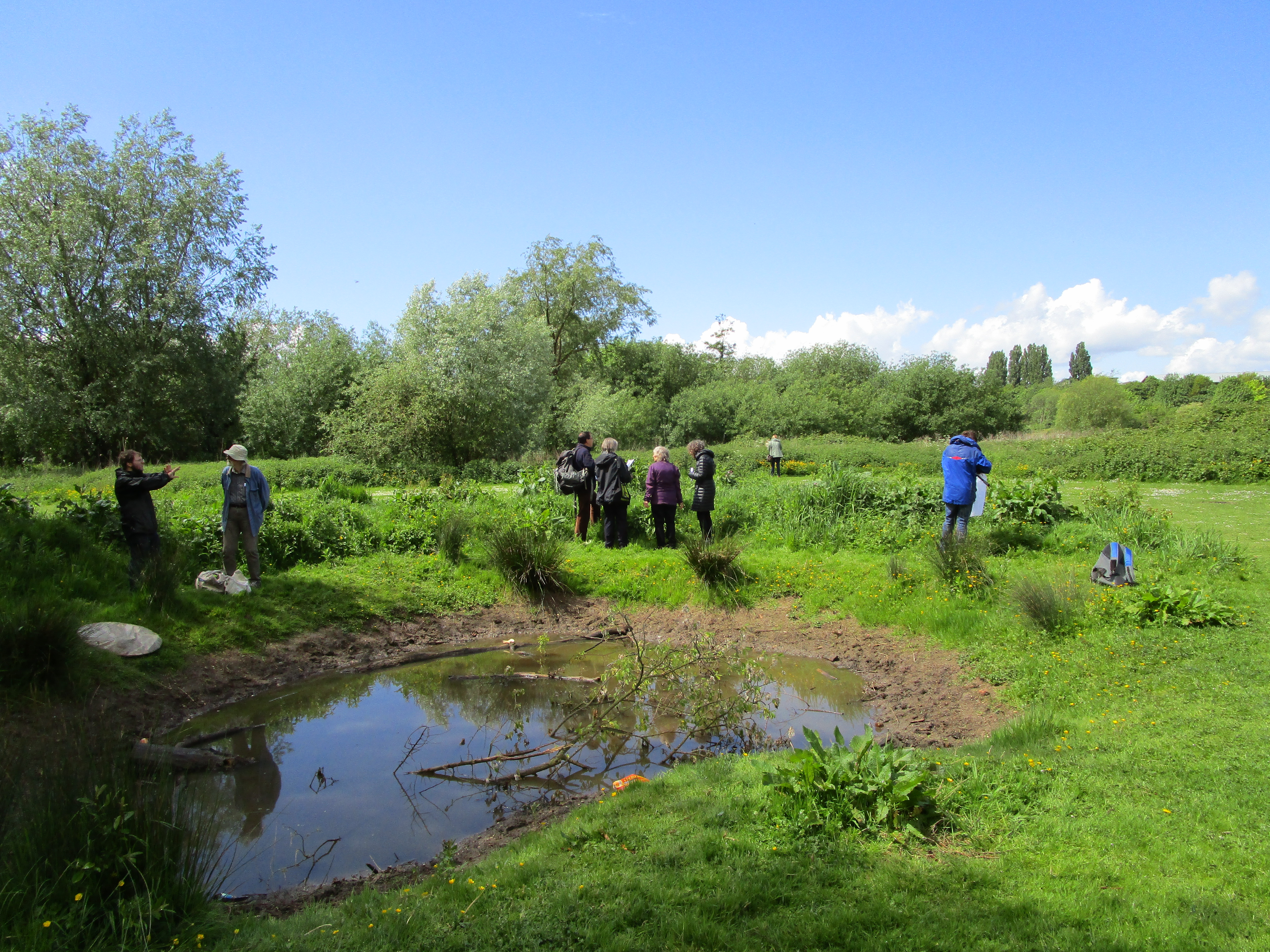 Return to Bingley Island | Recording | News| KFC