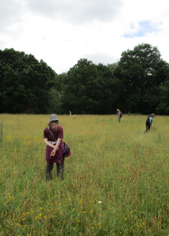 Field meeting at Jenkey Farm, Shadoxhurst