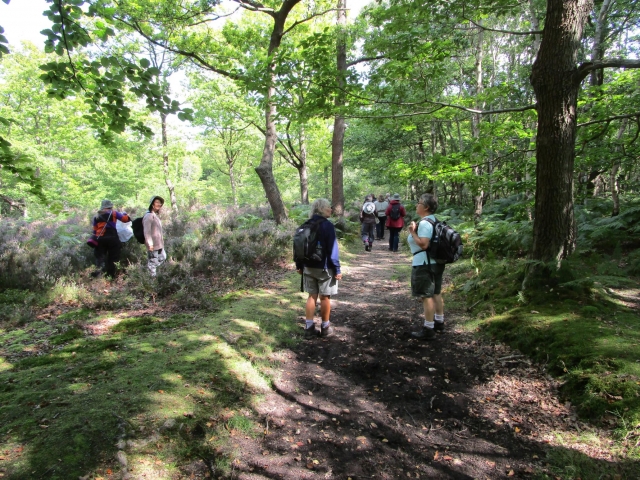 Fungal Foray at Seal Chart and Redhill Wood