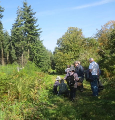 KFC visit to Longbeech Wood, near Charing